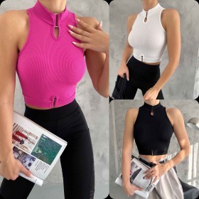 206872 TOPTAN PEMBE CROP